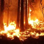 Gli incendi in Australia continuano